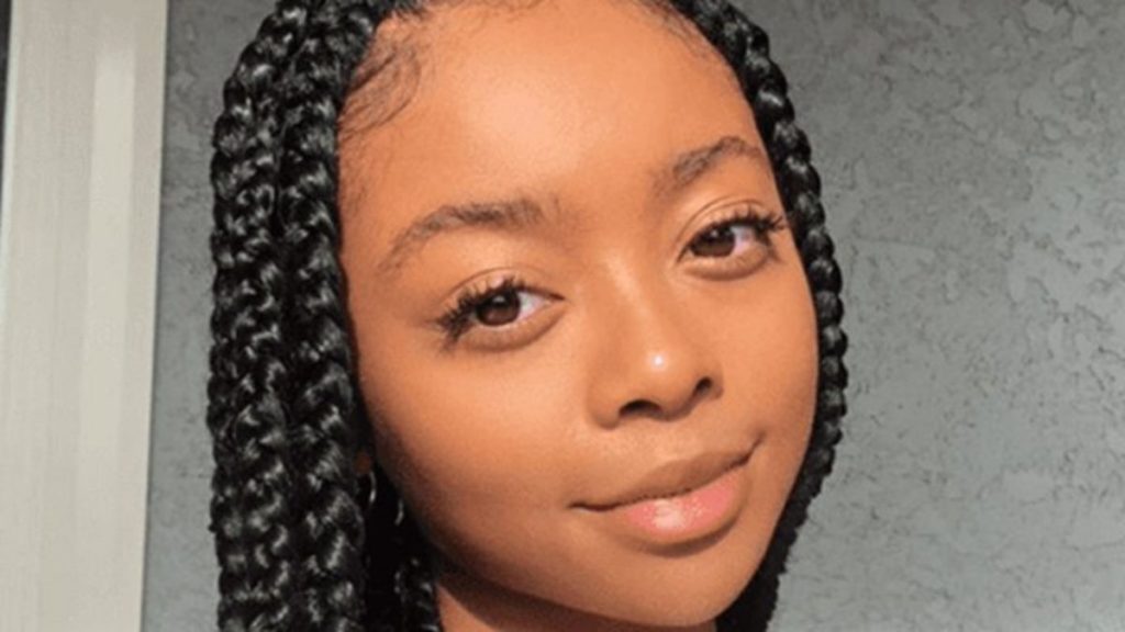 Skai Jackson, 18, uses Twitter to ruin minors' lives for edgy memes