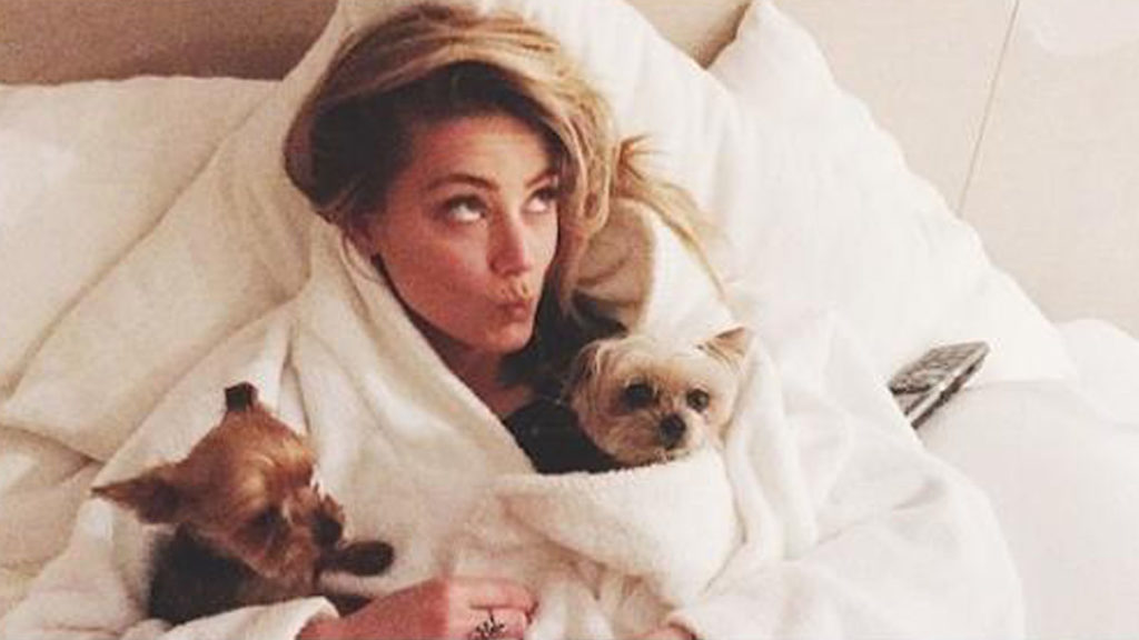 Amber Turd trends she's found guilty of pooping in bed