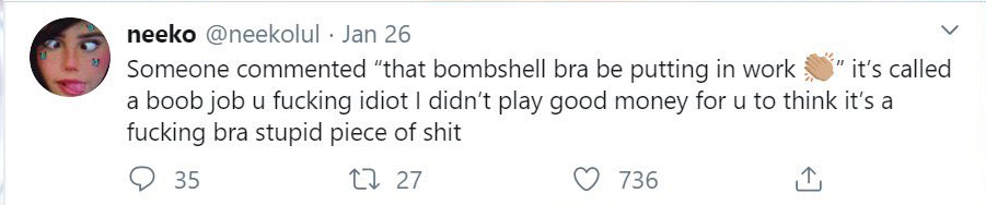 Neekolul confirms fake tits got boob job