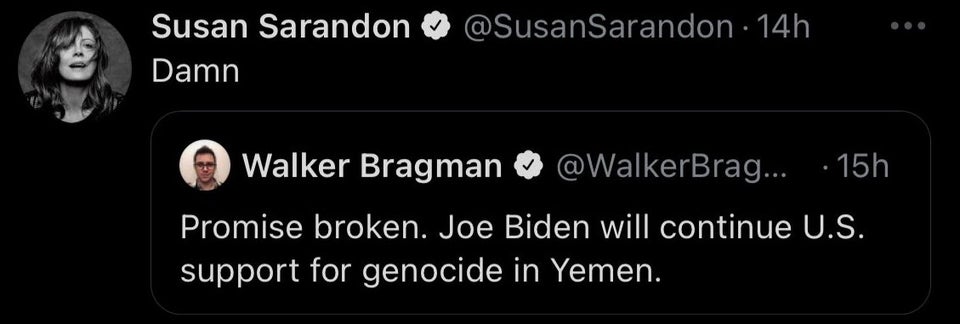 Susan Sarandon Joe Biden