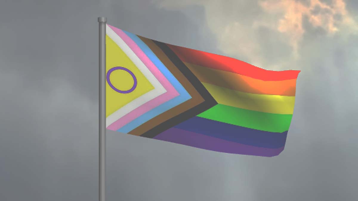 Pride flag 2021 redesign intersex