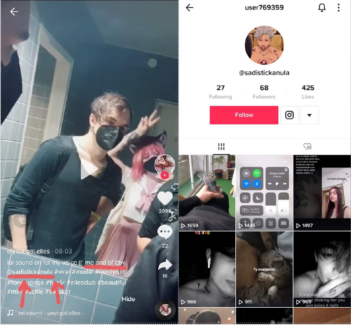 TikTok story by Novotna (@your.gal.elles) where she lists her boyfriend’s username as @sadistickanula (left)  and his profile page on the TikTok app (right). Note private messages on TikTok do not display usernames (below the profile picture) but rather profile names which is displayed above the profile icon.