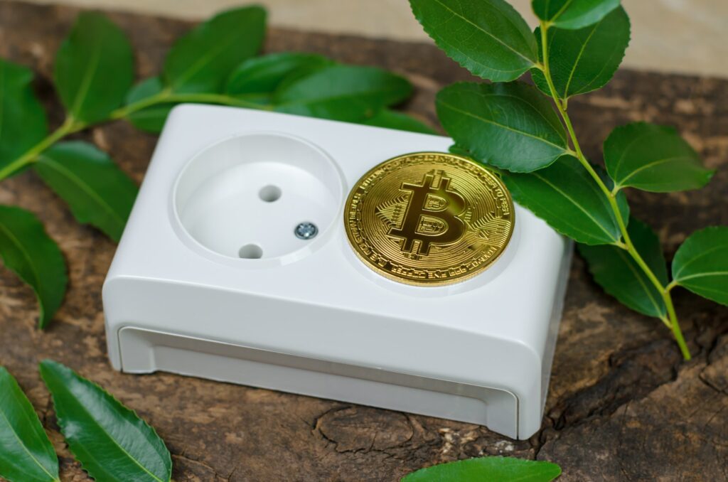 Bitcoin lies on an electrical outlet and green leaves. Cryptocurrency and green energy