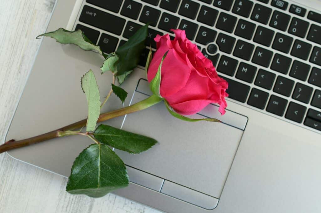 Concept online dating - rose on laptop computer keyboard
