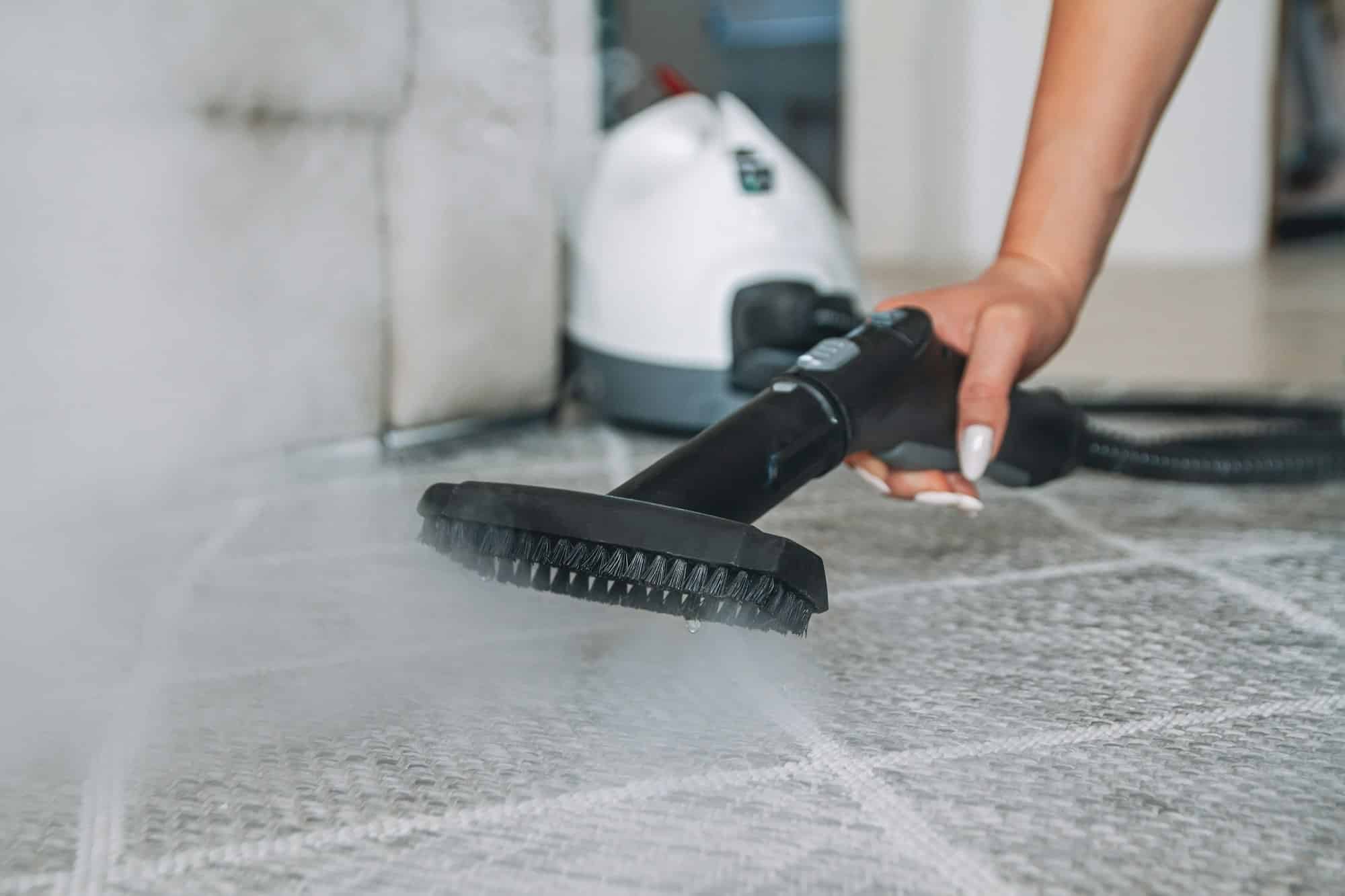The Role Of Steam Carpet Cleaning In Home Staging POPTOPIC