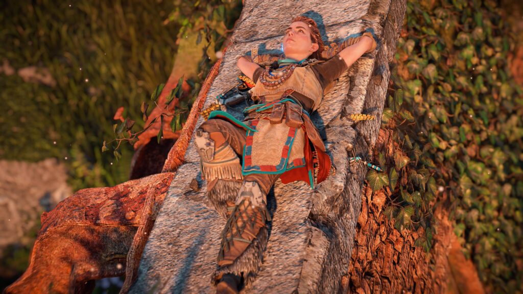 HZD Photo Mode