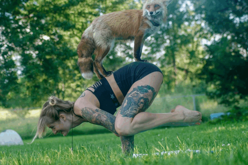 Doing Yoga with a Fox